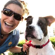 RescueMeDogTraining