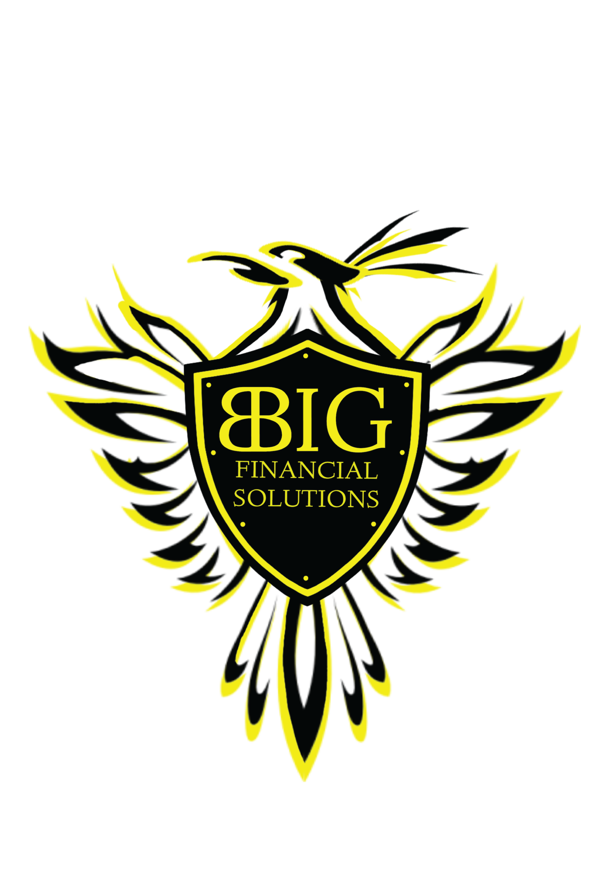 BBig Financial Solutions LLC, Henderson NV