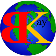 Bkay Services Group, Inc, Houston TX