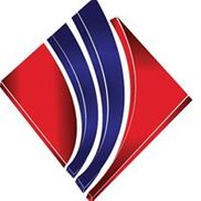 DS Security Solutions Inc.