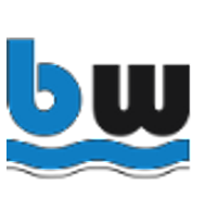 Blue Wave Web Design, Lake Mary FL