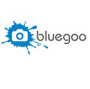 BlueGoo Photography