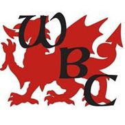 Welshboy Contracting