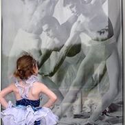 Susan Cook Photography