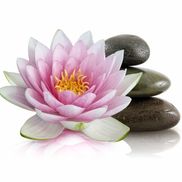 Premiere Pilates Rehabilitation & Fitness