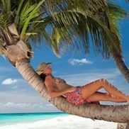 Turner Travel & Tours