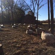 Hermitage Golf Course Nashville TN Alignable