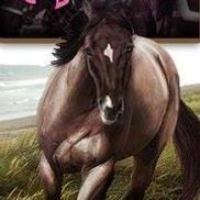 LopeForHope.com - Fighting Breast Cancer Loving Horses
