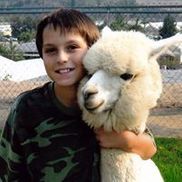 Alpacas and Beyond, BVA Ranch