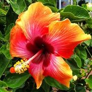 Richfield Farms & Garden Center