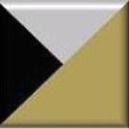 Madison Planning Group, Inc.