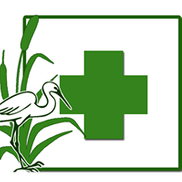 Wolfe's Pharmacy