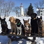 Erie Shores K9 Academy