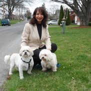 Coldwell Banker Prime Properties