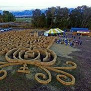 Bozeman Maze