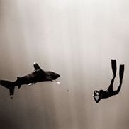 Scott Campbell Photography
