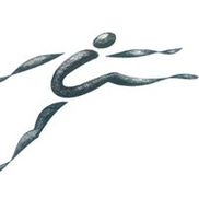 Momentum Physical Therapy of New Paltz