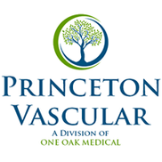 Princeton Vascular