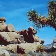 High Desert Home Inspection