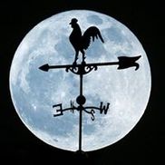 Blue Moon Vintage Market