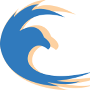 Soaring Eagle Computer Services Inc