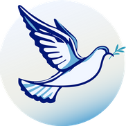 Expert Virtual Services