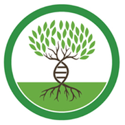 Southwest Functional Medicine, Henderson NV