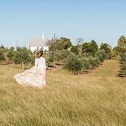 The White House on the Hill