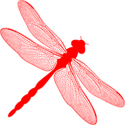 Eco Friends Pest Control