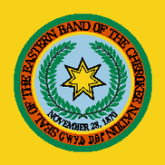Valor Investigation Security Co.