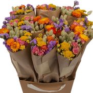 Dutch Flower House