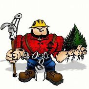 TAYLORS Total Tree Service