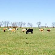 Roseland Organic Farms