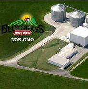 Bluegrass Farms Of Ohio
