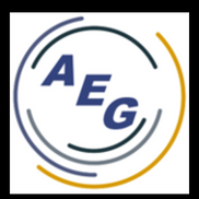 Audience Engagement Group, LLC