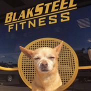 BlakSteel Fitness