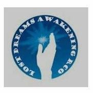 Lost Dreams Awaken