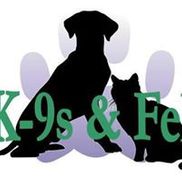 For K-9s & Felines, LLC, Westfield MA