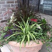 Jeffrey's Flowers By Design