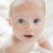 AnneRaft Photography, Rhinebeck NY