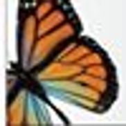 Mariposa Pilates