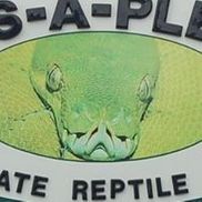 Ultimate 2024 reptile shop