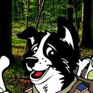Camp Canine Inc