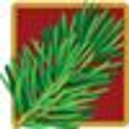 The Pines Times