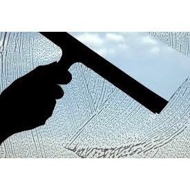 Squeegeemasters Window Cleaning, Sarasota FL