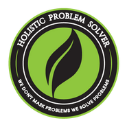 Holistic Problem Solver
