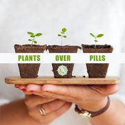 Your CBD Store - Concord, NH