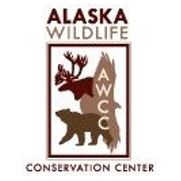Alaska Wildlife Conservation Center