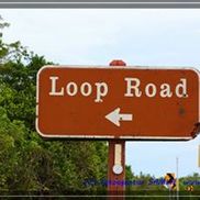 Nature's Exotic Beauty Photography