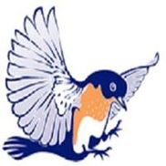 Bluebird Graphic Solutions